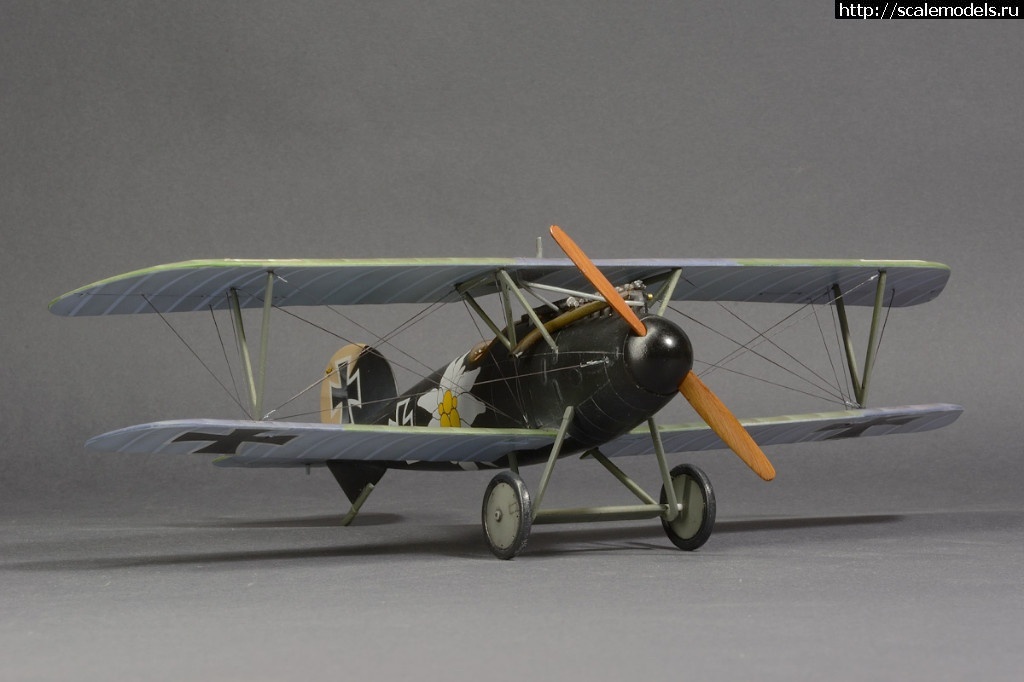 1492361285_8-1.jpg :    Albatros!   1/48  1/32  