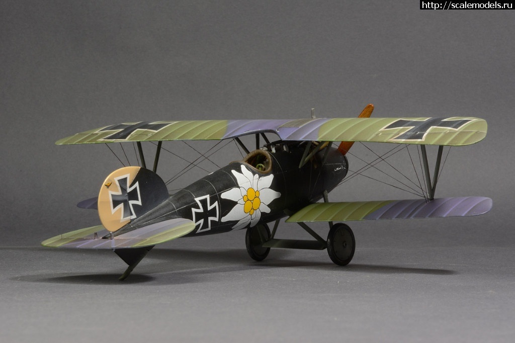 1492361286_8-2.jpg :    Albatros!   1/48  1/32  