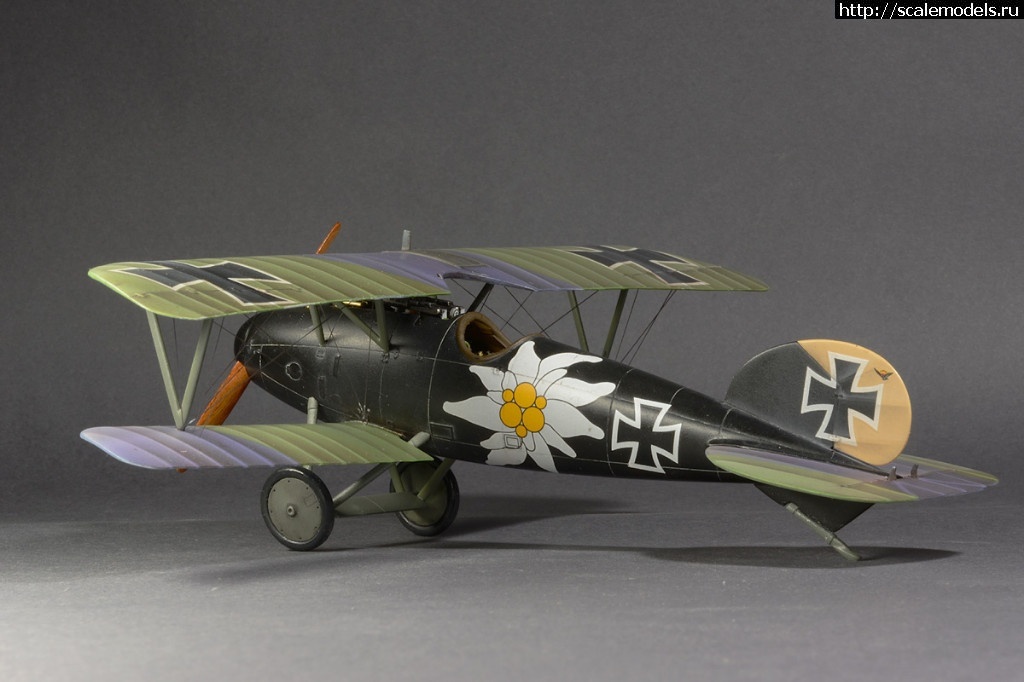 1492361286_8-3.jpg :    Albatros!   1/48  1/32  