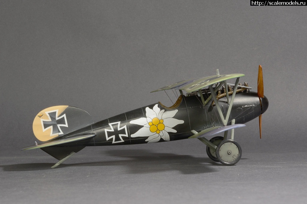 1492361288_8-5.jpg :    Albatros!   1/48  1/32  