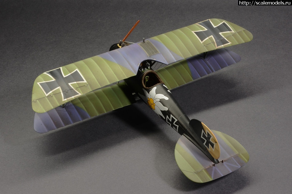 1492361290_8-6.jpg :    Albatros!   1/48  1/32  