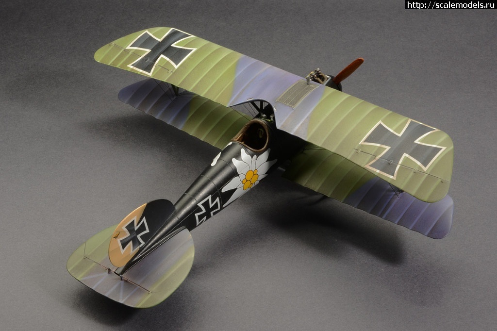 1492361290_8-7.jpg :    Albatros!   1/48  1/32  