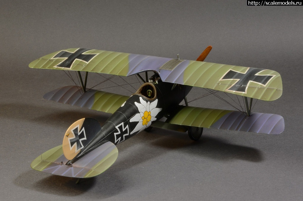 1492361292_8-9.jpg :    Albatros!   1/48  1/32  