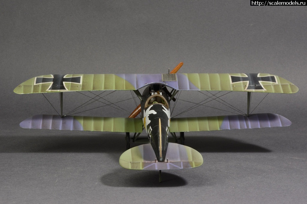 1492361293_8-10.jpg :    Albatros!   1/48  1/32  