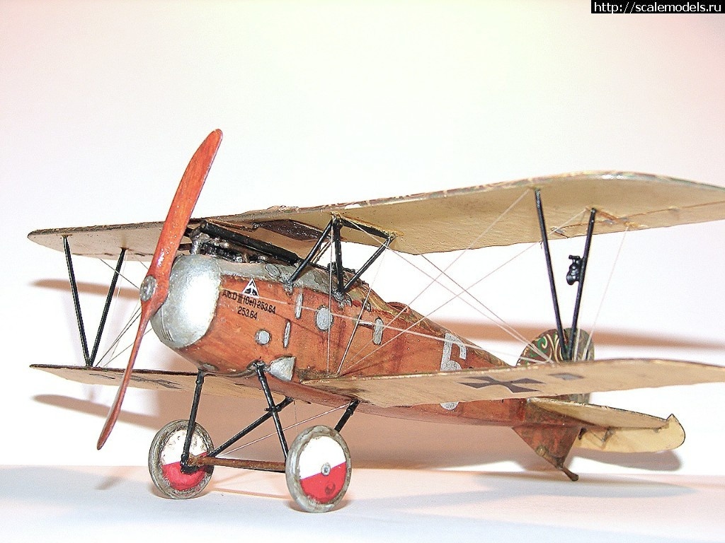 1492366726_00-4.jpg :    Albatros!   1/48  1/32  