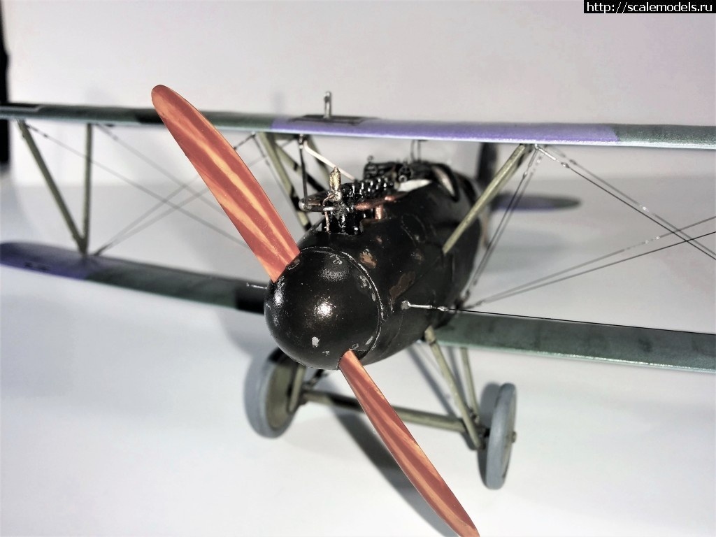 1492366826_000-13.jpg :    Albatros!   1/48  1/32  