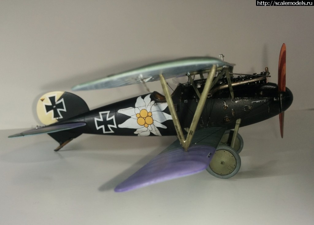 1492366832_000-19.jpg :    Albatros!   1/48  1/32  