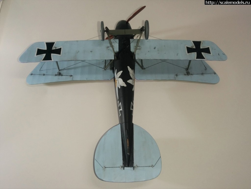 1492366838_000-27.jpg :    Albatros!   1/48  1/32  