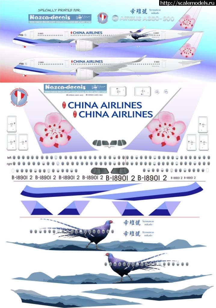 1492984398_a350_Bird.jpg :   Nazca-Decals 1/144 Airbus A350-900 China Airlines  