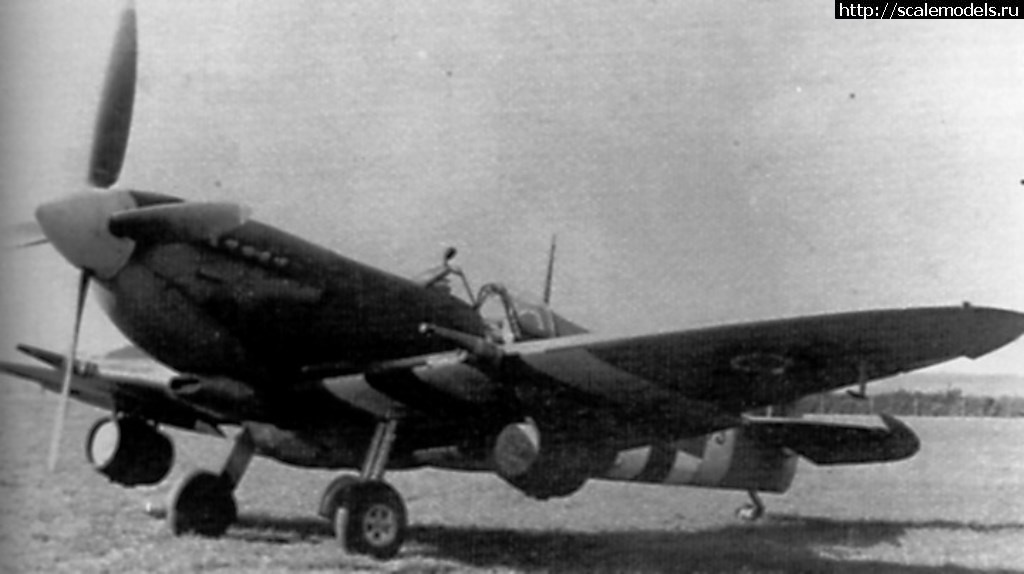 1493577927_Spitfire_beer2.jpg : #1375103/ Spitfire Mk. IXe 1/72 Eduard   