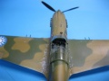 NOVO 1/72 Curtiss Hawk-81A -   