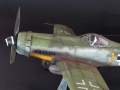 Tamiya 1/48 Fw-190D-9