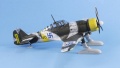 Special Hobby 1/72 Fokker D.XXI