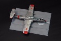  1/72 L-29 Delfin