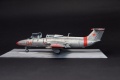  1/72 L-29 Delfin