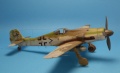 HobbyBoss 1/48 FW-190D-10