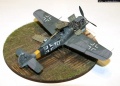 Eduard 1/72 FW-190A-8 (9./JG5 Rudolf Artner)