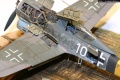 Eduard 1/72 FW-190A-8 (9./JG5 Rudolf Artner)