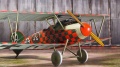 Eduard 1/48 Albatros D.V Rumey    