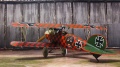 Eduard 1/48 Albatros D.V Rumey    