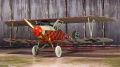 Eduard 1/48 Albatros D.V Rumey    