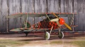 Eduard 1/48 Albatros D.V Rumey    