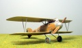 Roden 1/72 Albatros D.III 153.80 Julius Arigi -   