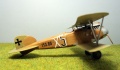 Roden 1/72 Albatros D.III 153.80 Julius Arigi -   