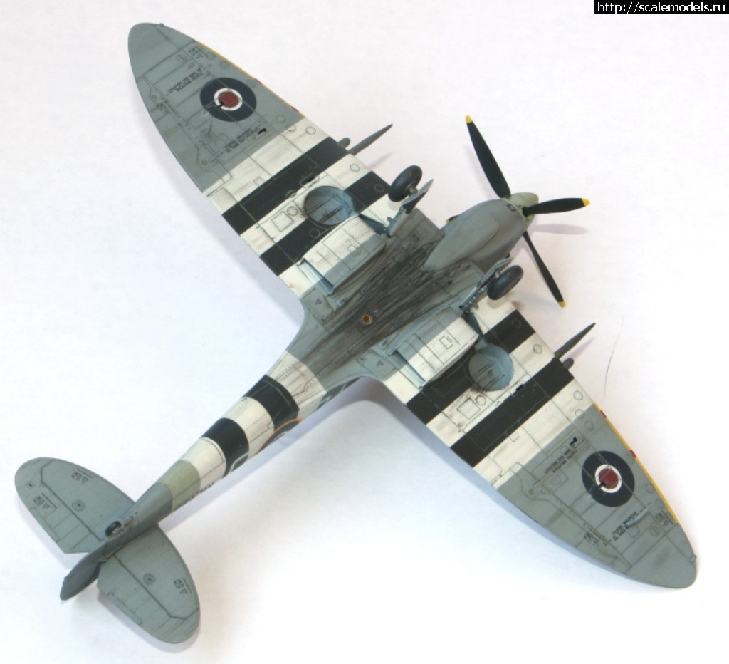 1493727944_IMG_5517.JPG : #1375492/ Spitfire Mk.IXc 1/72 Eduard ()  