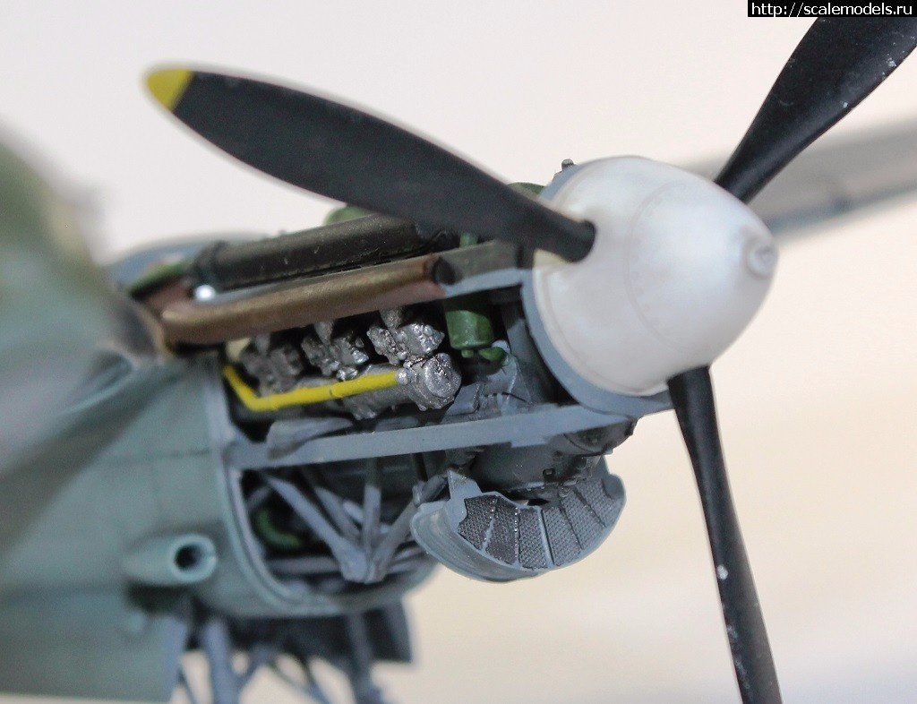 1493926739_34.jpg :  1/48 -2   