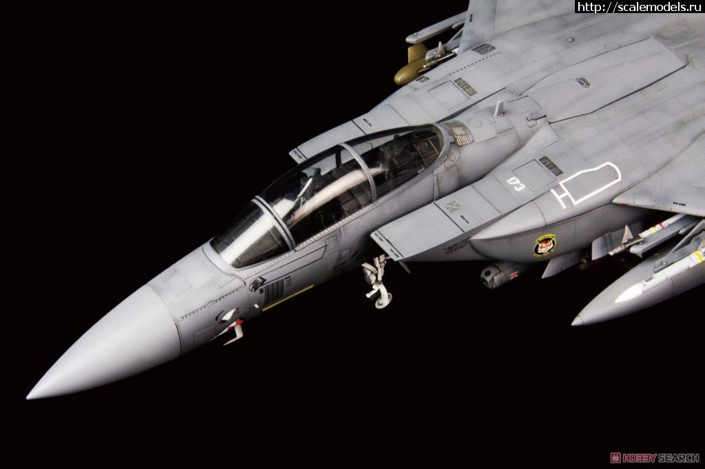 1494353909_10465620a3.jpg :  Great Wall Hobby 1/72 McDonnell Douglas F-15E Strike Eagle  