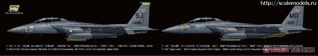 1494353917_10465620b11.jpg :  Great Wall Hobby 1/72 McDonnell Douglas F-15E Strike Eagle  