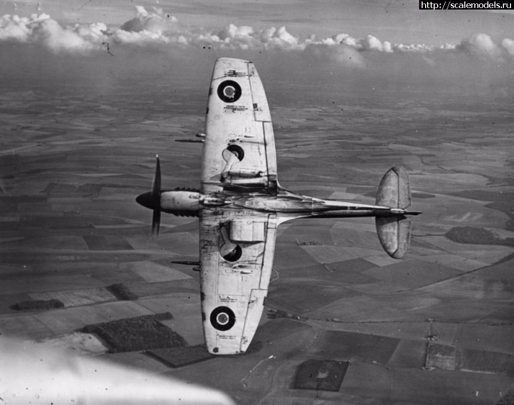 1494431915_Spitfire-XII1-800x631.jpg : #1378395/  -2 - ,  1/72  