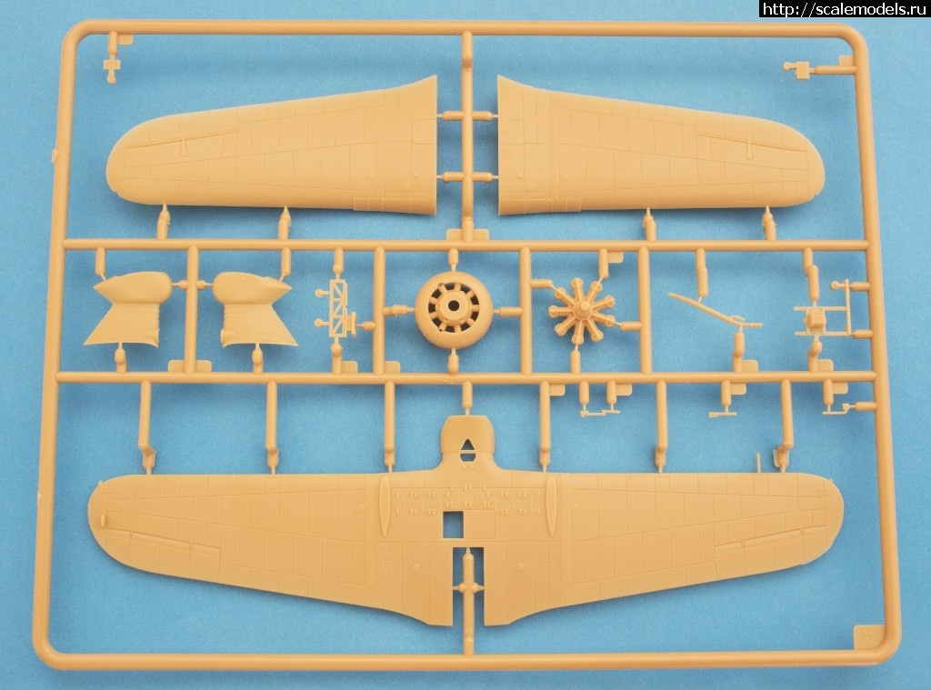 1495470734_18558674_1322173897904251_4388951778546956290_o.jpg :  IBG Models 1/72 PZL.23A Karas -   