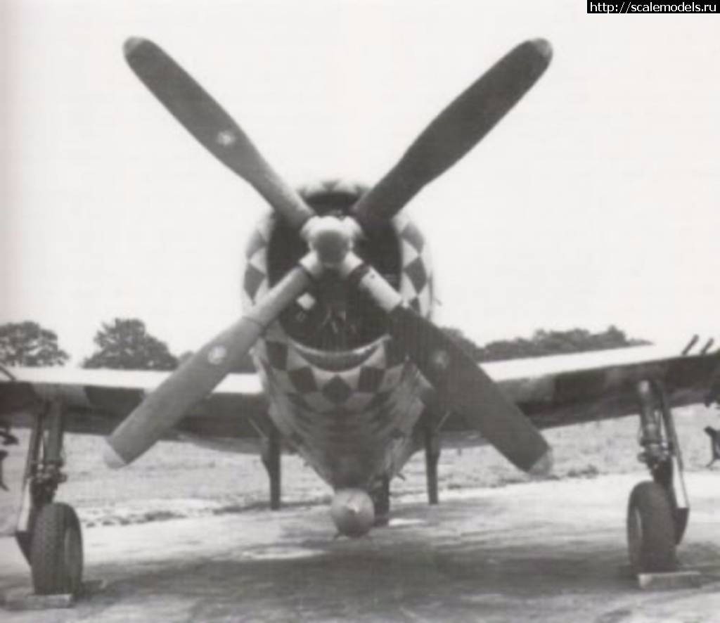 1495649965_Dprop.jpg : #1382819/  P-47-   .  