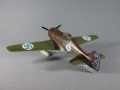 MPM 1/72 Fokker D.XXI -  