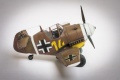 Tiger Model Bf109F-2/U Adolf Galland - EggPlane