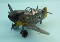 Tiger Model Bf109F-2/U Adolf Galland - EggPlane