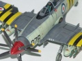 Trumpeter 1/72 Wyvern -         