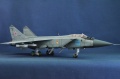 AMK 1/48 -31 / 93, 