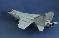 AMK 1/48 -31 / 93, 