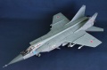 AMK 1/48 -31 / 93, 