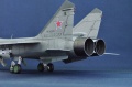 AMK 1/48 -31 / 93, 