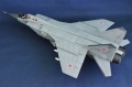 AMK 1/48 -31 / 93, 