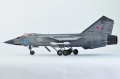 AMK 1/48 -31 / 93, 