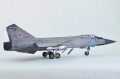 AMK 1/48 -31 / 93, 