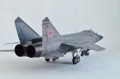 AMK 1/48 -31 / 93, 