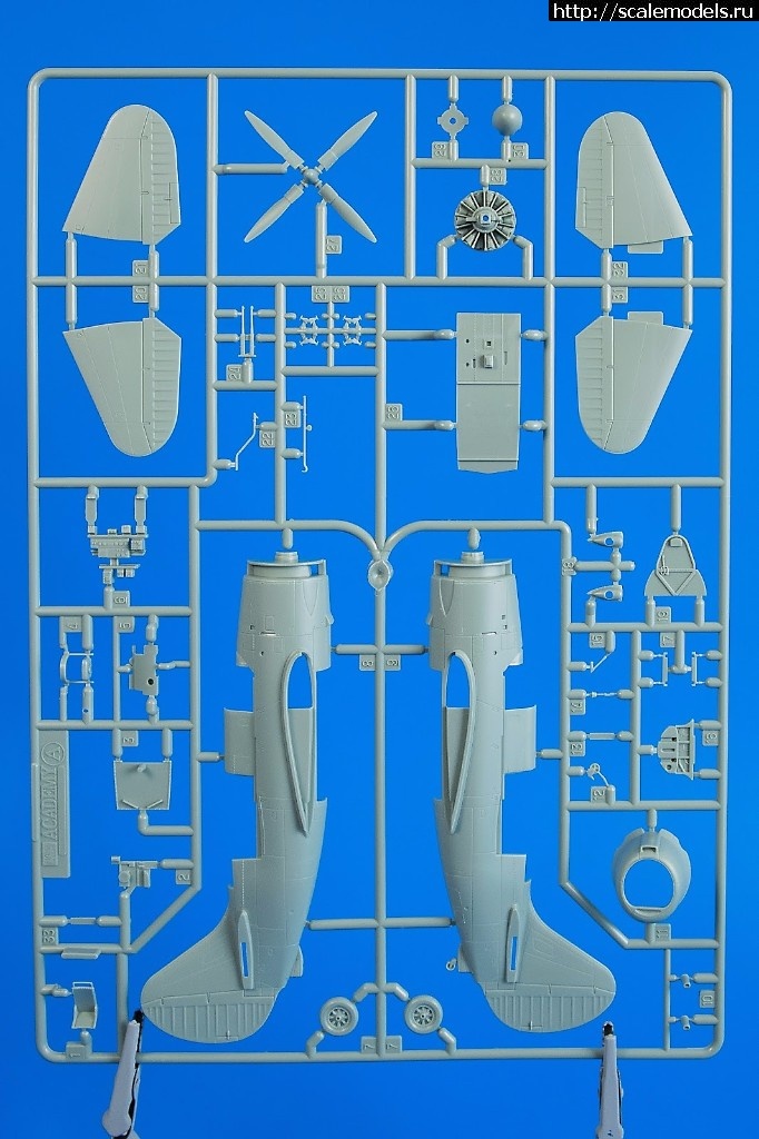 1496922237_DSC_0424.jpg :  Special Hobby 1/72 Curtiss SB2C-5 Helldiver Final Version  