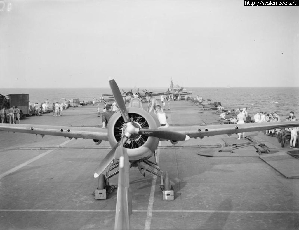 1498568557_2.jpg : #1392073/ MARTLET V (F4F-4 Wildcat) Academy/Design   