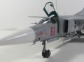 Trumpeter 1/48 -23 -   